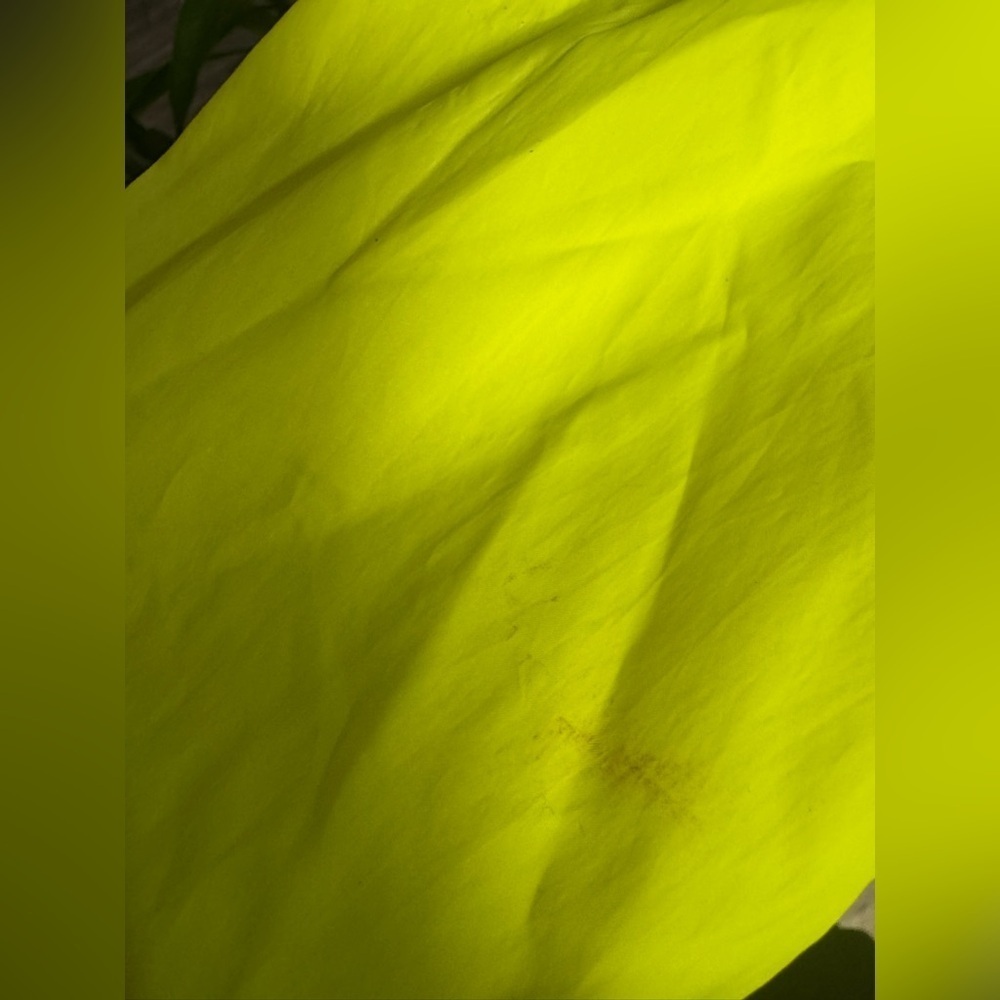 H&M Neon Yellow Jacket - Picture 9 of 9